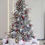 ヒメ日記 2025/12/23 17:20 投稿 赤神伶花 五十路マダム 徳島店