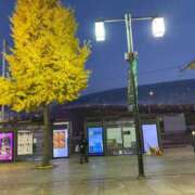 ヒメ日記 2026/02/02 16:54 投稿 赤神伶花 五十路マダム 徳島店