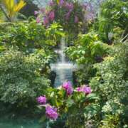 ヒメ日記 2026/03/25 16:50 投稿 赤神伶花 五十路マダム 徳島店