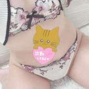 音華【おとか】 や❣️ ギャルズネットワークネクスト 京都