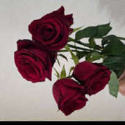 ヒメ日記 2025/12/12 17:21 投稿 沢口　保奈美 イラマチーオ池袋店