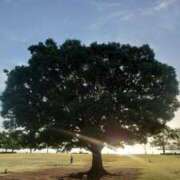 ヒメ日記 2025/11/02 09:25 投稿 宙(そら) 人妻城 横浜本店