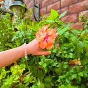 ヒメ日記 2025/11/15 14:51 投稿 宙(そら) 人妻城 横浜本店