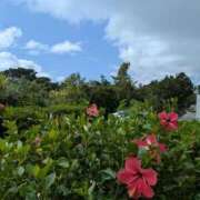 ヒメ日記 2025/11/16 18:35 投稿 宙(そら) 人妻城 横浜本店