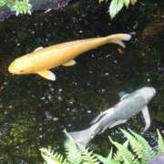 宙(そら) おはようございます🤗✨ 人妻城 横浜本店