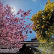 ヒメ日記 2026/03/08 09:33 投稿 宙(そら) 人妻城 横浜本店