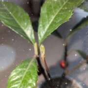 ヒメ日記 2026/03/10 09:19 投稿 宙(そら) 人妻城 横浜本店