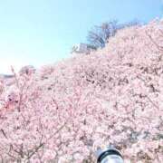 ヒメ日記 2026/03/15 09:20 投稿 宙(そら) 人妻城 横浜本店