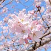 ヒメ日記 2026/03/26 21:01 投稿 宙(そら) 人妻城 横浜本店