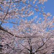 ヒメ日記 2026/03/27 09:47 投稿 宙(そら) 人妻城 横浜本店