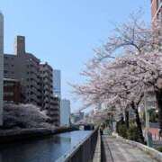 ヒメ日記 2026/03/29 11:48 投稿 宙(そら) 人妻城 横浜本店