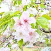 ヒメ日記 2026/03/31 17:08 投稿 宙(そら) 人妻城 横浜本店