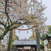 ヒメ日記 2026/04/05 08:28 投稿 宙(そら) 人妻城 横浜本店