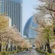 ヒメ日記 2026/04/09 15:32 投稿 宙(そら) 人妻城 横浜本店