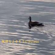 ヒメ日記 2026/04/14 07:10 投稿 宙(そら) 人妻城 横浜本店