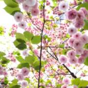 ヒメ日記 2026/04/16 08:22 投稿 宙(そら) 人妻城 横浜本店