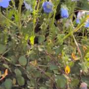 ヒメ日記 2026/04/27 08:35 投稿 宙(そら) 人妻城 横浜本店