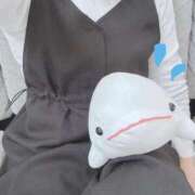 ヒメ日記 2025/11/28 10:26 投稿 はるな One More 奥様　西船橋店