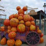 ヒメ日記 2025/10/31 08:39 投稿 つくし 完熟ばなな西川口