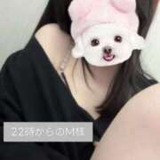 ヒメ日記 2025/10/28 02:28 投稿 あやか 上野ハイブリッドマッサージ