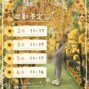 ヒメ日記 2026/09/01 06:45 投稿 さくら Ace(エース)