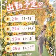 ヒメ日記 2026/09/20 07:01 投稿 さくら Ace(エース)