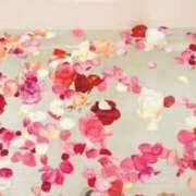 ヒメ日記 2025/11/06 16:47 投稿 君島 あなたに逢いたくて