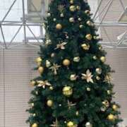 ヒメ日記 2025/11/15 17:27 投稿 君島 あなたに逢いたくて