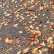 ヒメ日記 2025/11/29 17:27 投稿 君島 あなたに逢いたくて