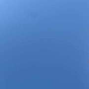 ヒメ日記 2025/11/30 12:47 投稿 君島 あなたに逢いたくて