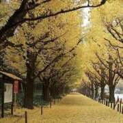 ヒメ日記 2025/12/02 17:17 投稿 君島 あなたに逢いたくて