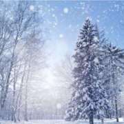 君島 君島です あなたに逢いたくて