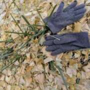 ヒメ日記 2025/12/10 09:17 投稿 君島 あなたに逢いたくて