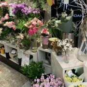 ヒメ日記 2025/12/26 10:17 投稿 君島 あなたに逢いたくて