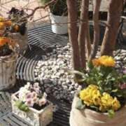 ヒメ日記 2025/12/30 10:47 投稿 君島 あなたに逢いたくて