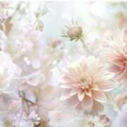 ヒメ日記 2026/01/05 10:27 投稿 君島 あなたに逢いたくて