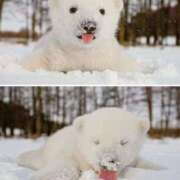 ヒメ日記 2026/01/08 10:17 投稿 君島 あなたに逢いたくて