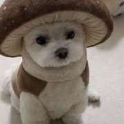 ヒメ日記 2026/01/11 10:07 投稿 君島 あなたに逢いたくて