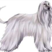 ヒメ日記 2026/01/31 14:47 投稿 君島 あなたに逢いたくて