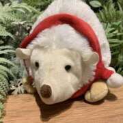 ヒメ日記 2026/02/02 09:57 投稿 君島 あなたに逢いたくて