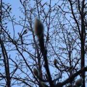 ヒメ日記 2026/02/04 16:47 投稿 君島 あなたに逢いたくて