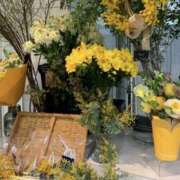 ヒメ日記 2026/02/07 16:37 投稿 君島 あなたに逢いたくて