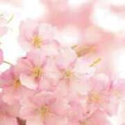 君島 君島です あなたに逢いたくて