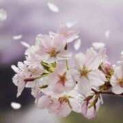 ヒメ日記 2026/03/30 16:10 投稿 君島 あなたに逢いたくて