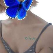 ヒメ日記 2025/10/12 15:31 投稿 浦嶋りんか 池袋㊙エステ～フル勃起～