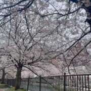 桜　らら おはよ🌸 マーベリック横浜