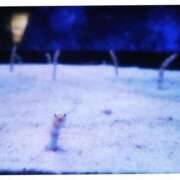 ヒメ日記 2025/11/03 23:00 投稿 つかさ 横浜ミセスアロマ（ユメオト）