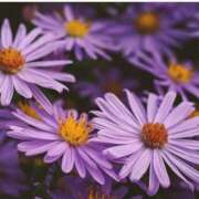 すずな おはようございます♡ ぽっちゃりデリヘル倶楽部