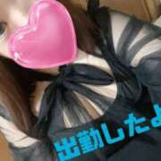 ヒメ日記 2025/10/22 15:09 投稿 うた 大阪和泉ちゃんこ