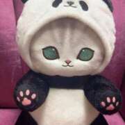 ヒメ日記 2025/11/17 00:44 投稿 あゆ 出会い系人妻ネットワーク錦糸町～小岩編